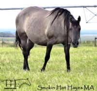 Smokin Hot Hayes MA